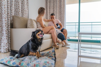 2 спальни квартира 4/6 человек Апартаменты magic atrium beach villajoyosa 2 спальни квартира 4/6 человек Апартаменты magic atrium beach villajoyosa